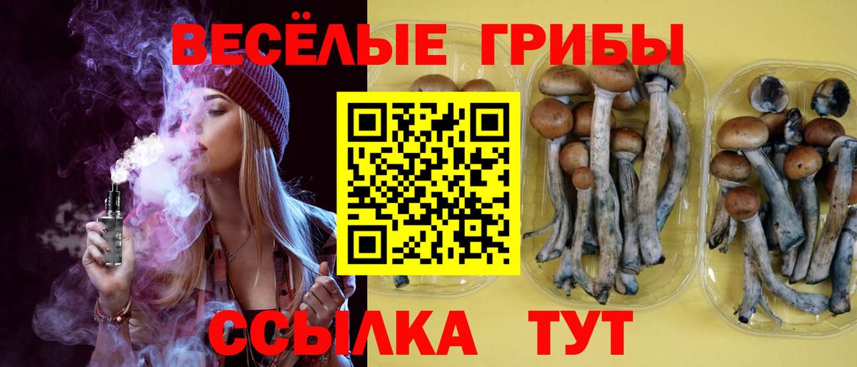 Псилоцибиновые грибы Magic Shrooms  Псилоцибиновые грибы Magic Shrooms  Вход с VPN  Карталы 