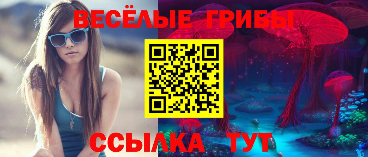 Галлюциногенные грибы Magic Shrooms Карталы